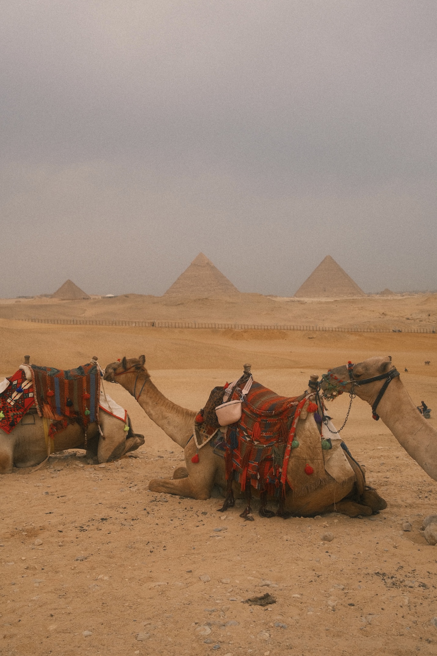Egypt Tips