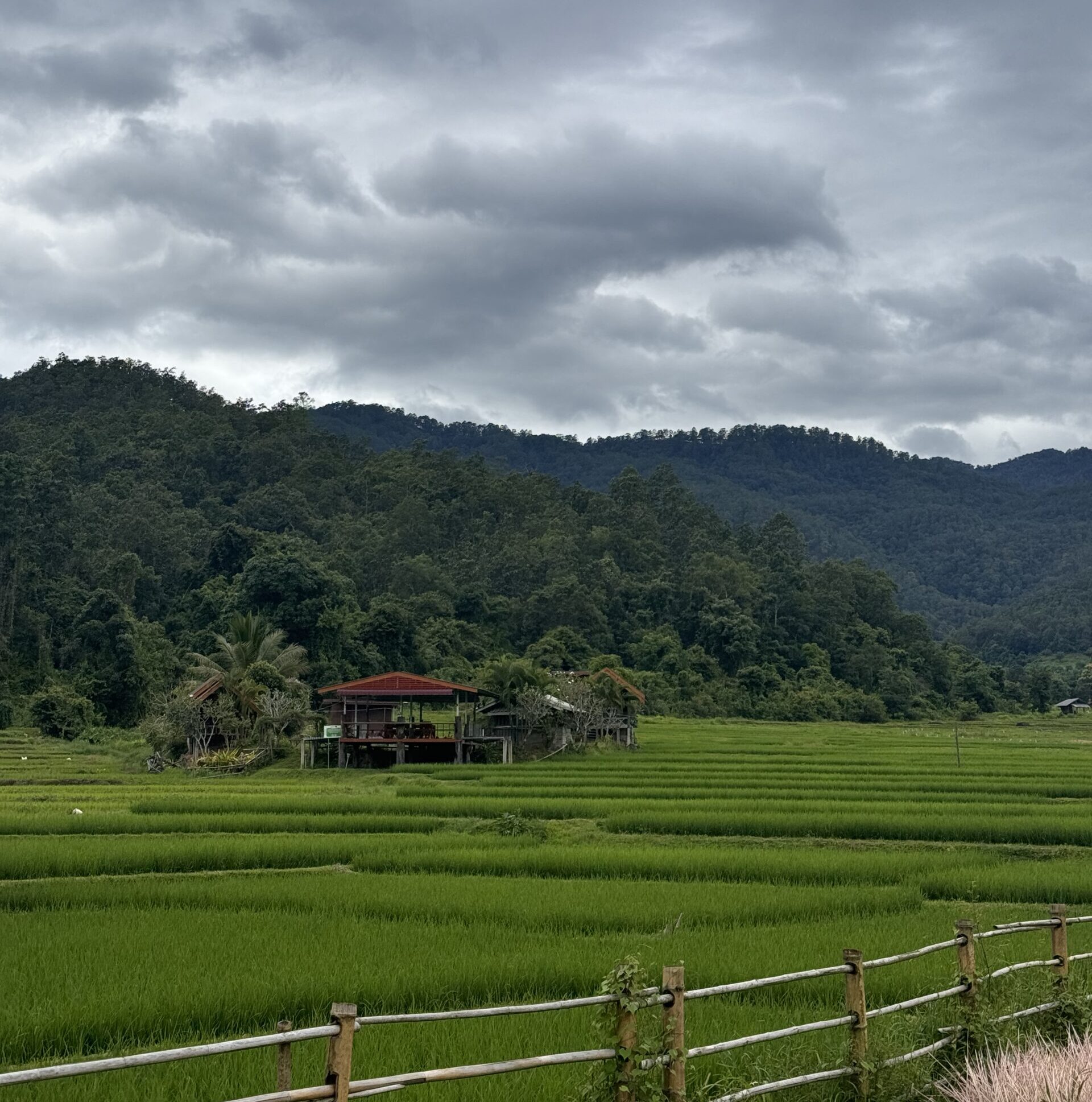 Thailand Tips