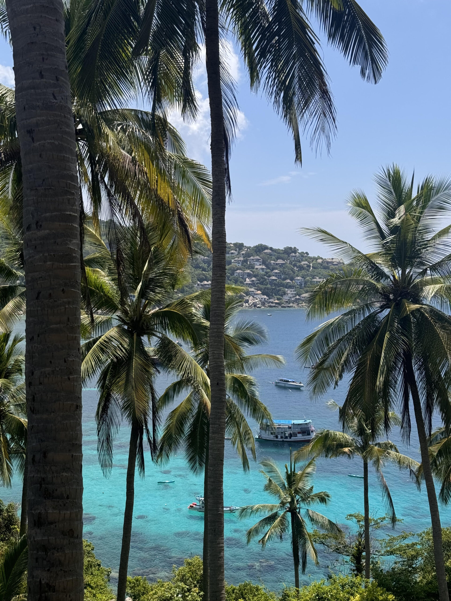 Koh Tao